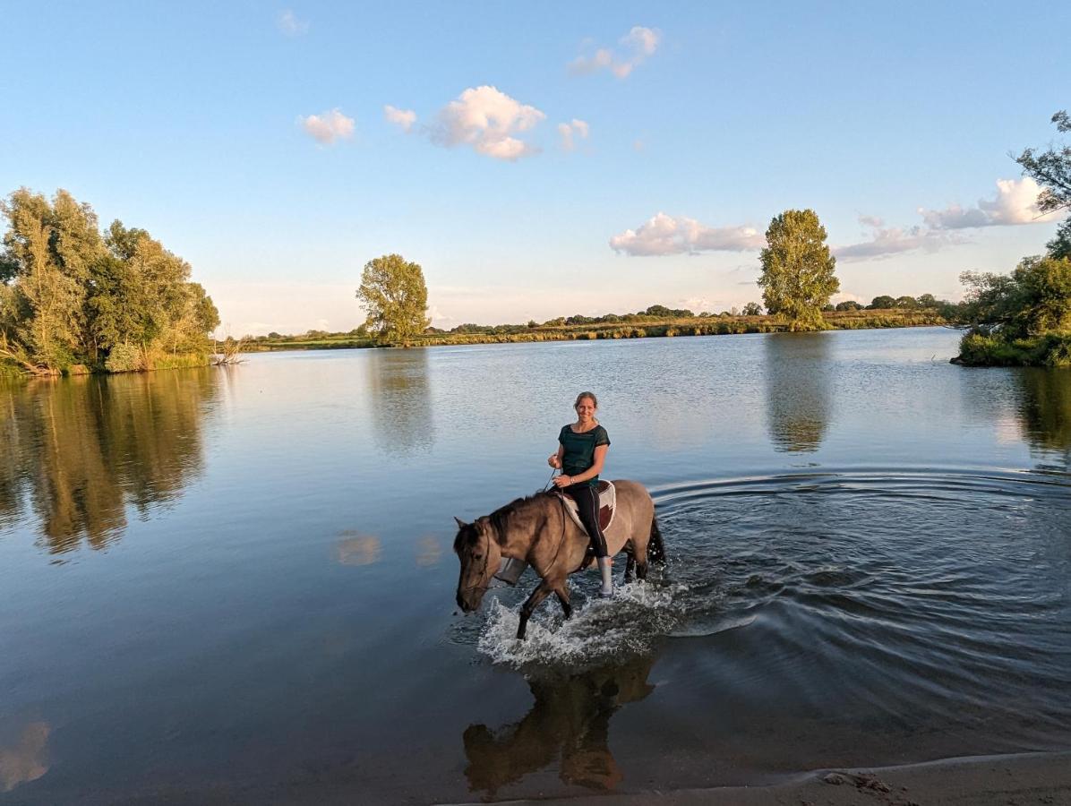 Klavertje 4 Middelaar Exteriér fotografie