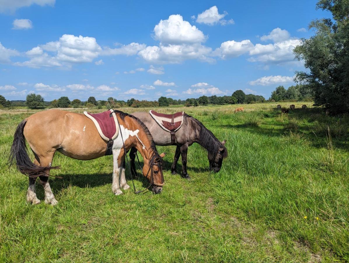 Klavertje 4 Middelaar Exteriér fotografie